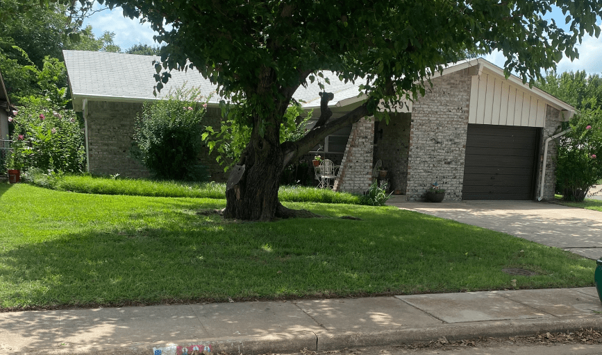 Yard Cleanup